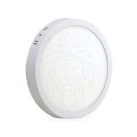 18 Watt Sıva Üstü Yuvarlak Panel LED Armatür